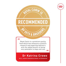 ROYAL CANIN Digestive Care Loaf - Wet Food for Sensitive Cats 12x85g