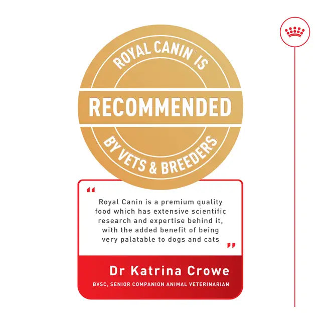 ROYAL CANIN Digestive Care Loaf - Wet Food for Sensitive Cats 12x85g