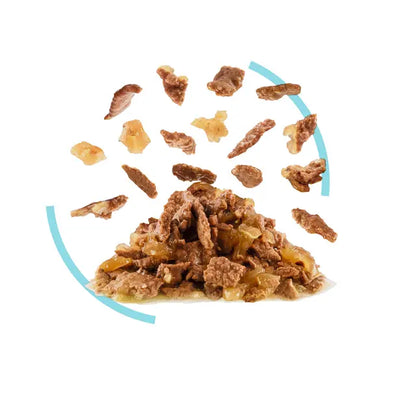 ROYAL CANIN Sensory Feel Morsels In Jelly - Wet Food For Adult Cats 12x85g