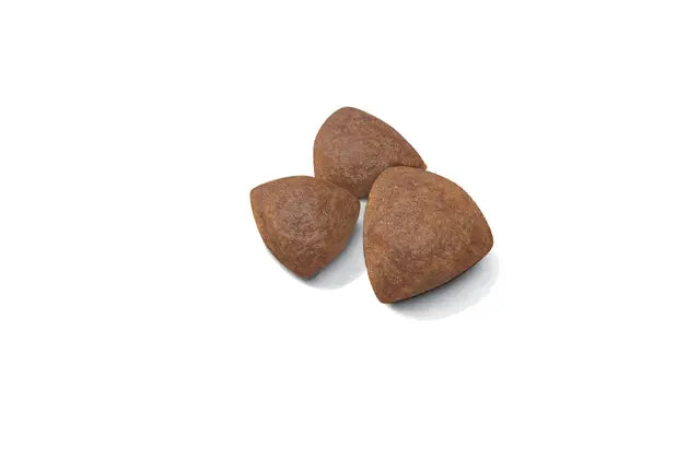 Royal Canin Starter Mother & Babydog Medium sausas pašaras - Vidutinių veislių kalėms ir šuniukams
