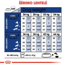 Royal Canin Maxi Ageing 8+ sucha karma – Dla bardzo starszych psów dużych ras
