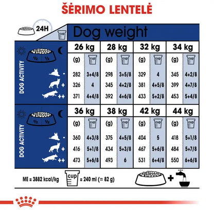 Royal Canin Maxi Ageing 8+ sausas pašaras - Labai vyresnio amžiaus didelių veislių šunims