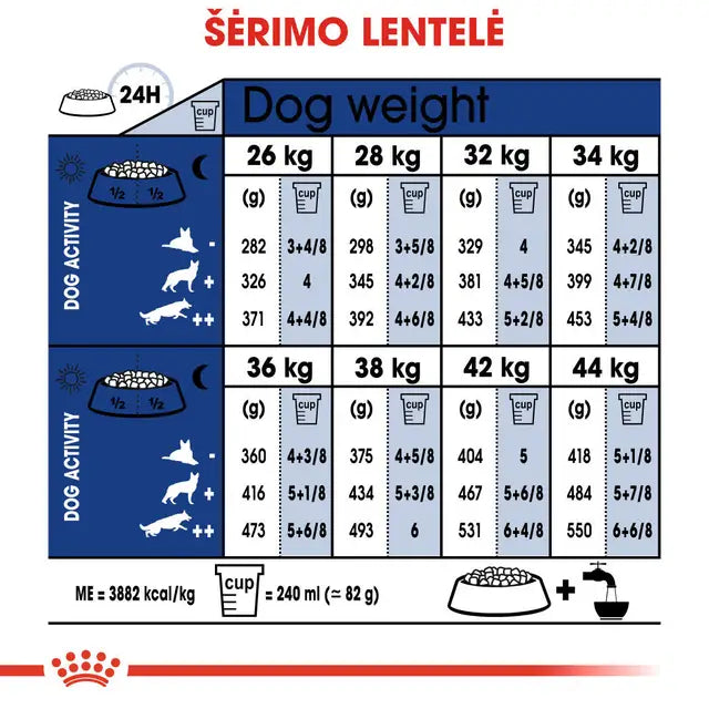 Royal Canin Maxi Ageing 8+ sucha karma – Dla bardzo starszych psów dużych ras