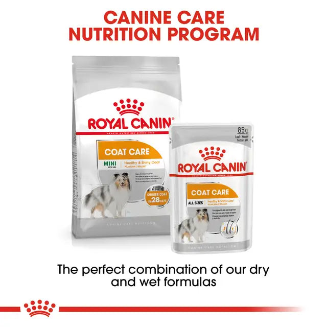 Royal Canin Coat Care Loaf