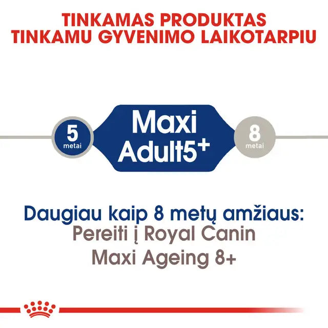 Royal Canin Maxi Adult 5+ sausas pašaras - Subrendusiems didelių veislių šunims