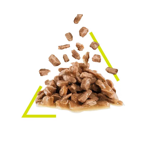 SENSORY™ SMELL Chunks in Gravy - Drėgnas Pašaras Suaugusioms Katėms 12x85g