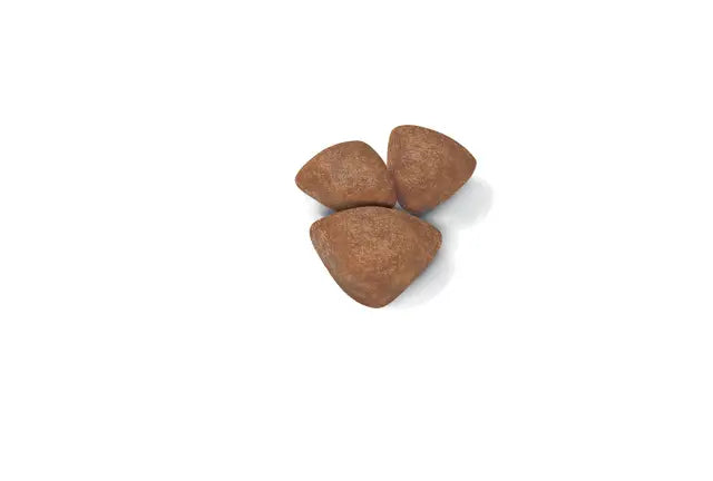 Royal Canin Mini Starter Mother & Babydog - Sausas pašaras šuniui