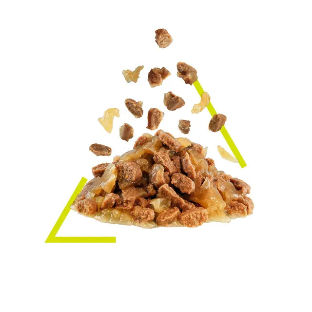 ROYAL CANIN Sensory Smell Chunks In Jelly - Drėgnas Pašaras Suaugusioms Katėms 12x85g