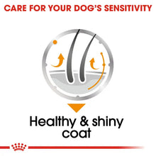 Royal Canin Coat Care Loaf