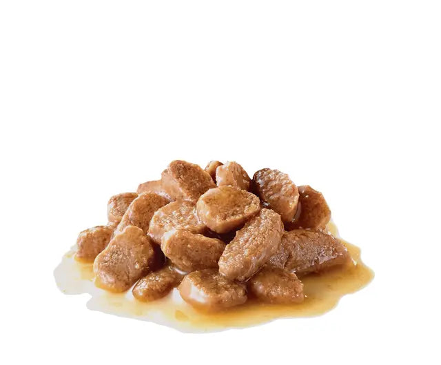 Royal Canin Size Health Nutrition Mini Adult Gravy 12x85g - Šlapias maistas su padažu suaugusiems mažų veislių šunims
