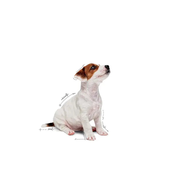 ROYAL CANIN Mini Puppy Chunks In Gravy - Mokra Karma dla Szczeniąt Małych Ras 4x85g