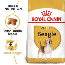 Royal Canin Beagle Adult - sucha karma dla psów