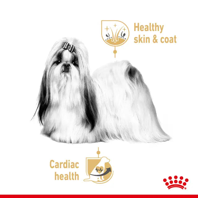 ROYAL CANIN BHN Shih Tzu Loaf - Wet Dog Food 12x85g