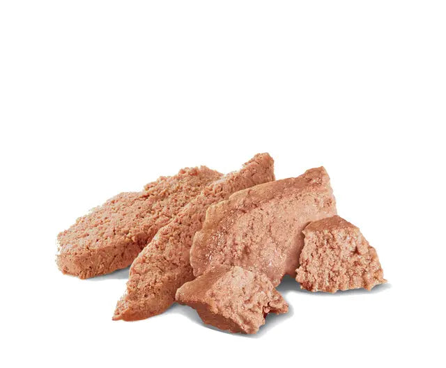 ROYAL CANIN BHN Shih Tzu Loaf - Mokra karma dla psów 12x85g