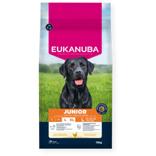 Eukanuba Life Care Junior sausas maistas didelių veislių jauniems šunims su vištiena, L, 15 kg