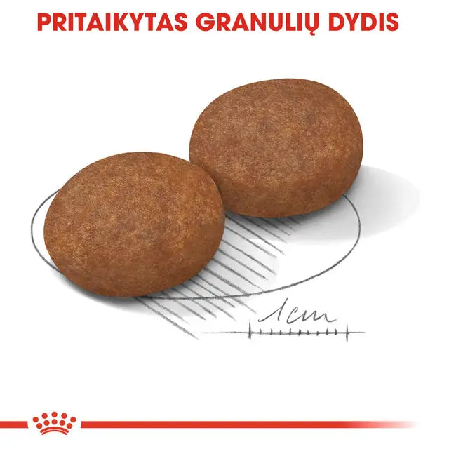 Royal Canin Medium Adult 7+ sausas pašaras - Subrendusiems vidutinių veislių šunims