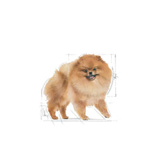 Royal Canin Pomeranian Loaf karma mokra dla psów 12x85g