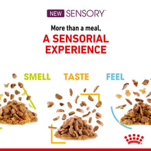 ROYAL CANIN SENSORY™ FEEL Morsels in Gravy - Wet Food for Adult Cats 12x85g