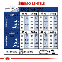 Royal Canin Maxi Adult 5+ sausas pašaras - Subrendusiems didelių veislių šunims