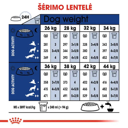 Royal Canin Maxi Adult 5+ sausas pašaras - Subrendusiems didelių veislių šunims