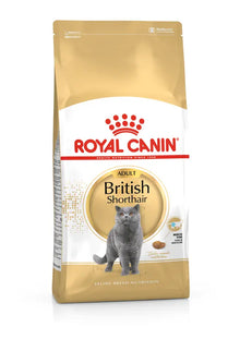 Sucha karma dla kota British Shorthair Adult