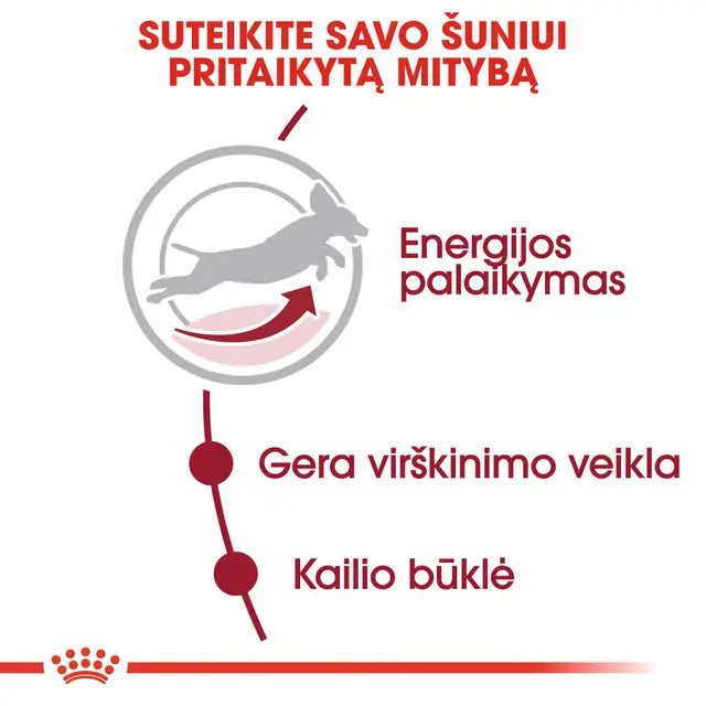 Royal Canin Medium Adult 7+ sausas pašaras - Subrendusiems vidutinių veislių šunims
