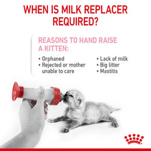 BABYCAT MILK - Preparat mlekozastępczy dla kotów