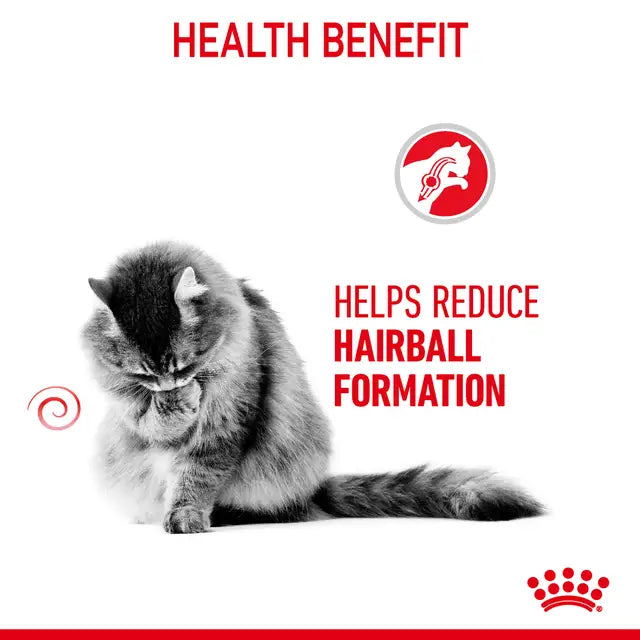 ROYAL CANIN Hairball Care Gravy - Drėgnas Pašaras Suaugusioms Katėms 12x85g