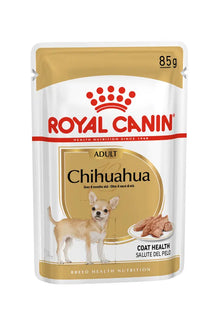 Chihuahua drėgnas pašaras šuniui