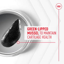 ROYAL CANIN® Joint & Ageing Adult Chews - Papildai šunims