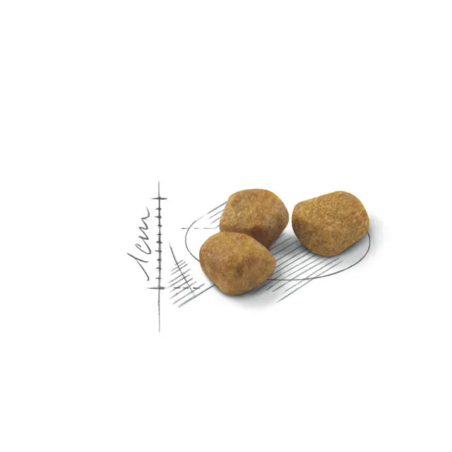 Indoor 7+ dry cat food