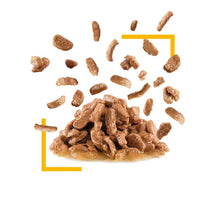 ROYAL CANIN Sensory Taste Chunks In Gravy - Влажный корм для взрослых кошек 12x85г