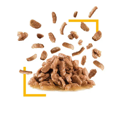 ROYAL CANIN Sensory Taste Chunks In Gravy - Wet Food For Adult Cats 12x85g