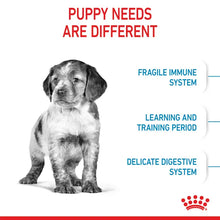 Royal Canin Puppy Medium sausas pašaras - Vidutinių veislių šuniukams