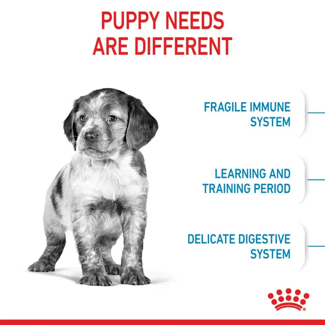 Royal Canin Puppy Medium sausas pašaras - Vidutinių veislių šuniukams
