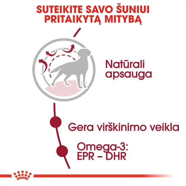 Royal Canin Medium Adult sausas pašaras - Suaugusiems vidutinių veislių šunims