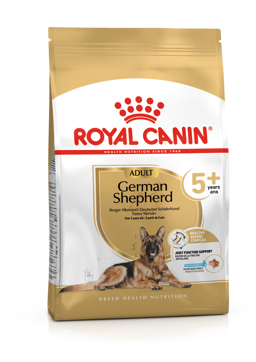 German Shepherd Adult sausas pašaras šuniui