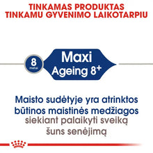 Royal Canin Maxi Ageing 8+ sucha karma – Dla bardzo starszych psów dużych ras