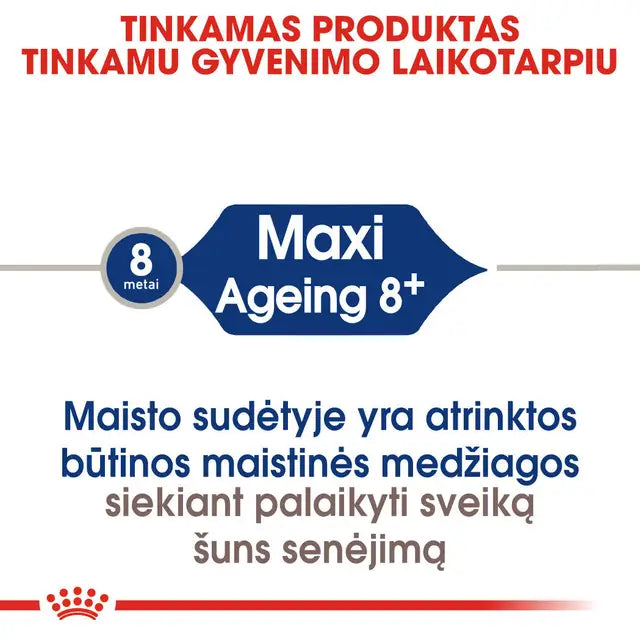 Royal Canin Maxi Ageing 8+ sucha karma – Dla bardzo starszych psów dużych ras
