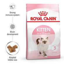 KITTEN sausas pašaras katei