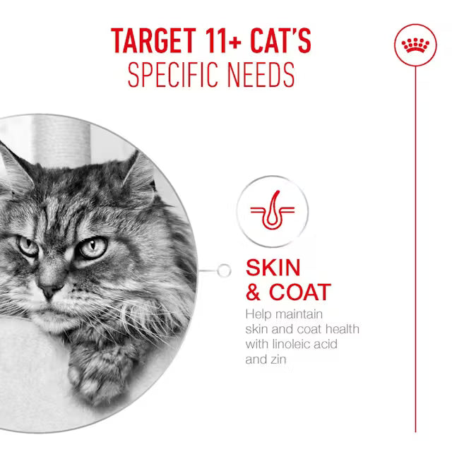 ROYAL CANIN AGEING 11+ - Sausas Pašaras Vyresnėms Katėms
