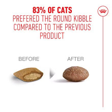 ROYAL CANIN AGEING 11+ - Sausas Pašaras Vyresnėms Katėms