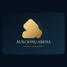 Aukcionų arena logotipas