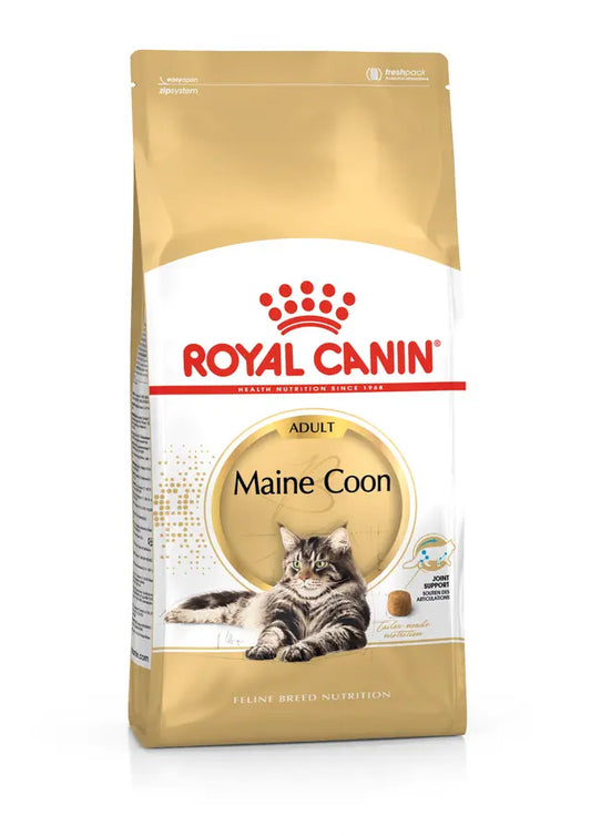 Maine Coon Adult sucha karma dla kota