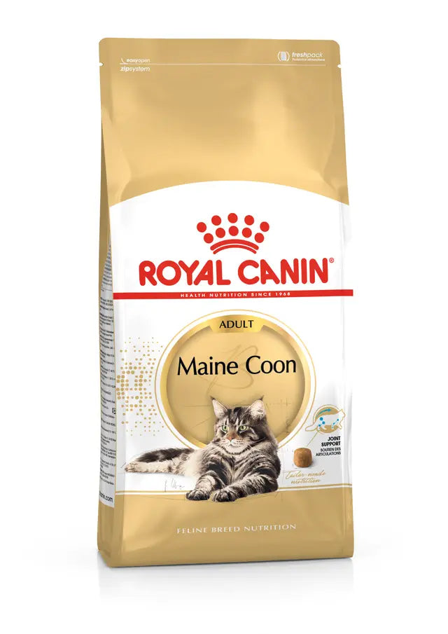 Maine Coon Adult sausas pašaras katei