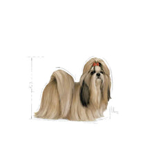 Sucha karma dla dorosłych psów Shih Tzu