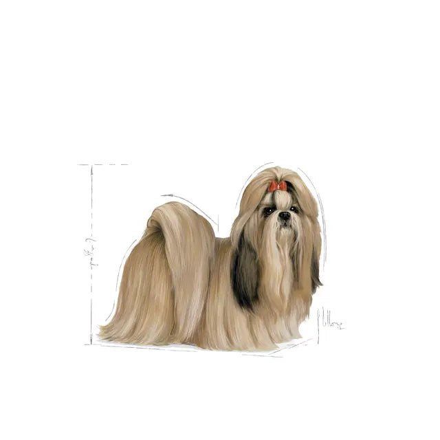 Sucha karma dla dorosłych psów Shih Tzu