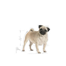 Sucha karma dla dorosłych psów Pug