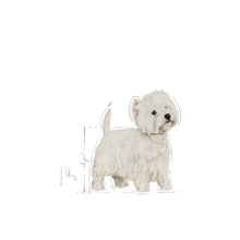 Royal Canin West Highland White Terrier Adult - sucha karma dla psów