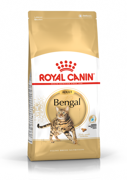 Bengal Adult karma sucha dla kota